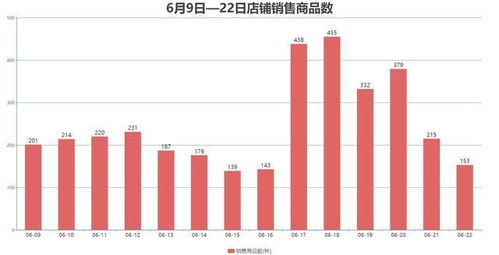 电商数据分析 掌握网红店铺运营模式,电商大促销量暴涨