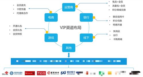 全媒体运营师胡耀文教你 如何搭建和运营会员产品的核心能力